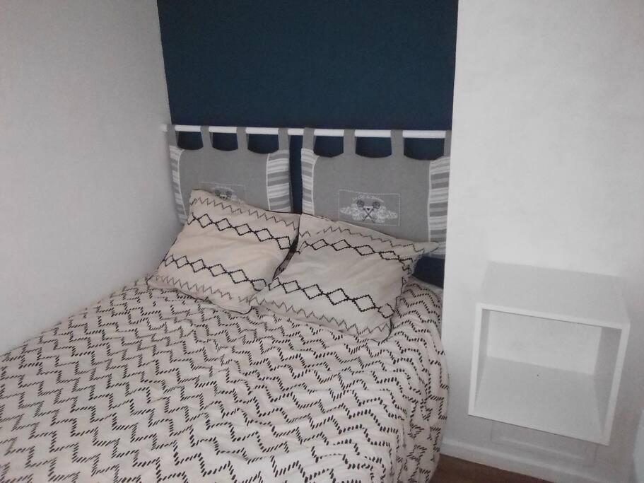 Appartement Pieds Des Pistes Au Pla D'Adet A Saint Lary Soulan מראה חיצוני תמונה