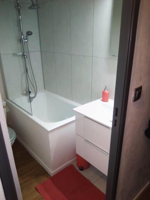 Appartement Pieds Des Pistes Au Pla D'Adet A Saint Lary Soulan מראה חיצוני תמונה